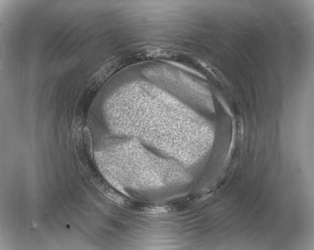 X0000078890513200612042053