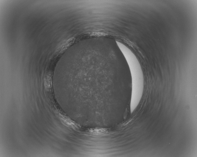 X0000078890517200612042053