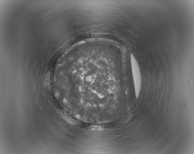 X0000078890519200612042053