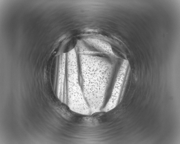 X0000078890520200612042053