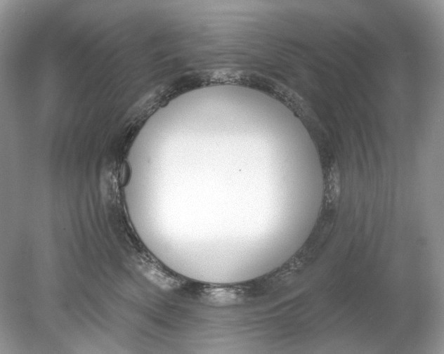 X0000078890522200612042053