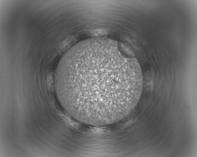 X0000078890523200612042053