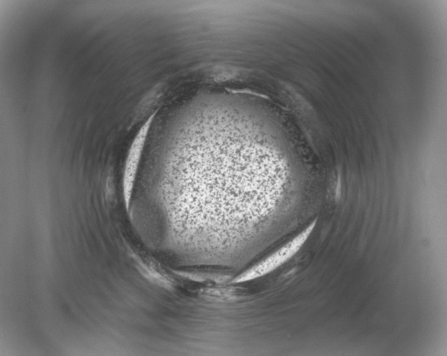 X0000078890524200612042053