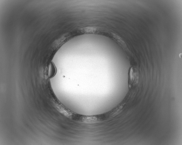 X0000078890525200612042053