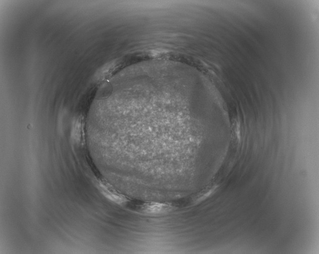 X0000078890527200612042053