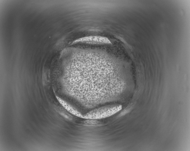 X0000078890528200612042053