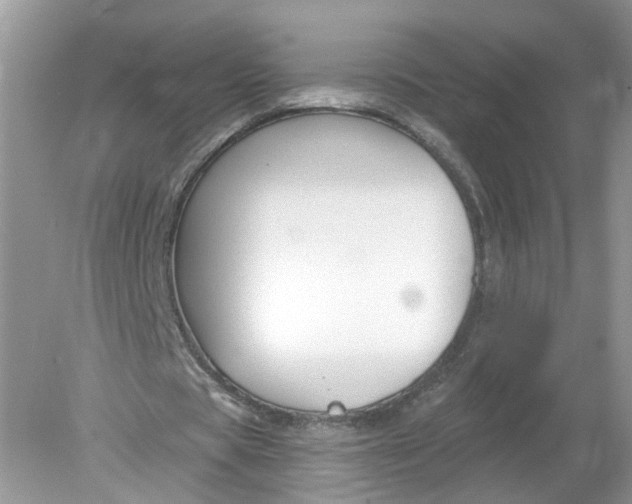 X0000078890529200612042052