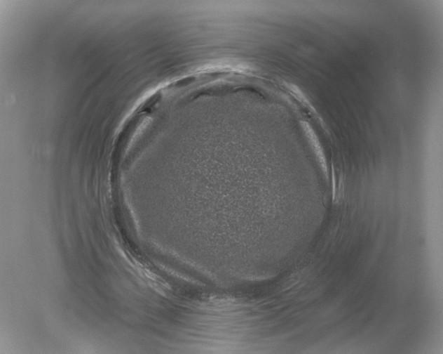 X0000078890531200612042052