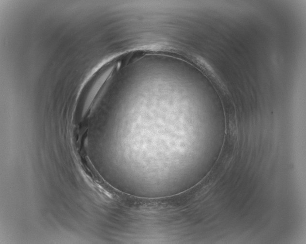 X0000078890532200612042052