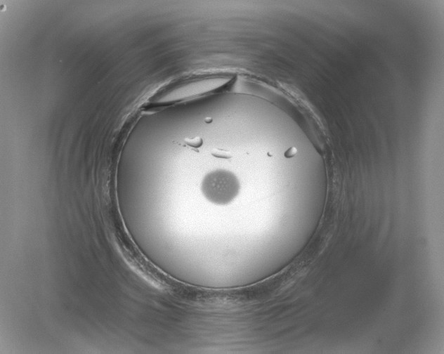 X0000078890533200612042052