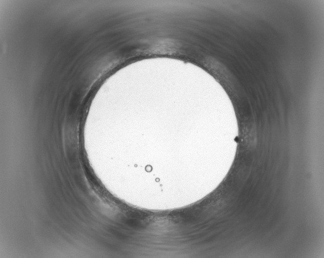 X0000078890534200612042052