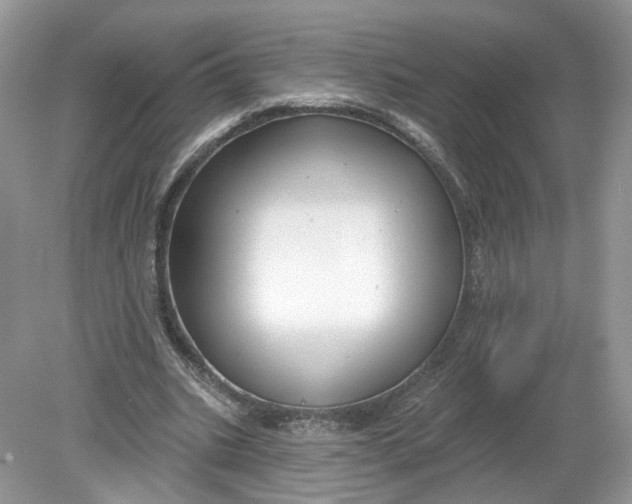 X0000078890535200612042052