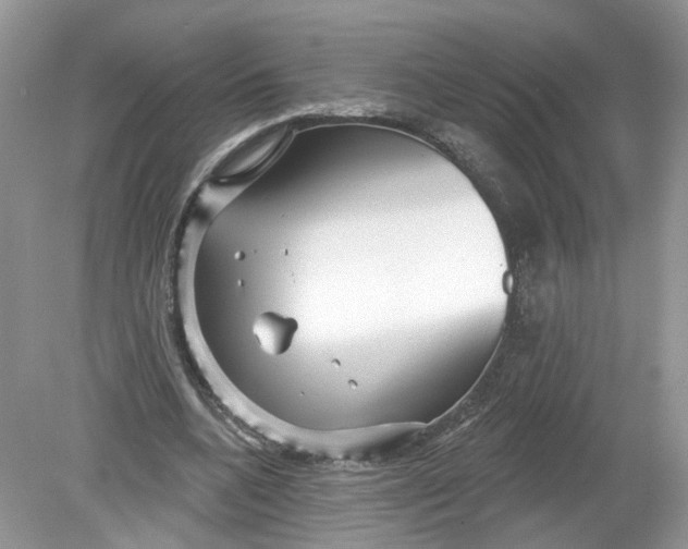 X0000078890536200612042052