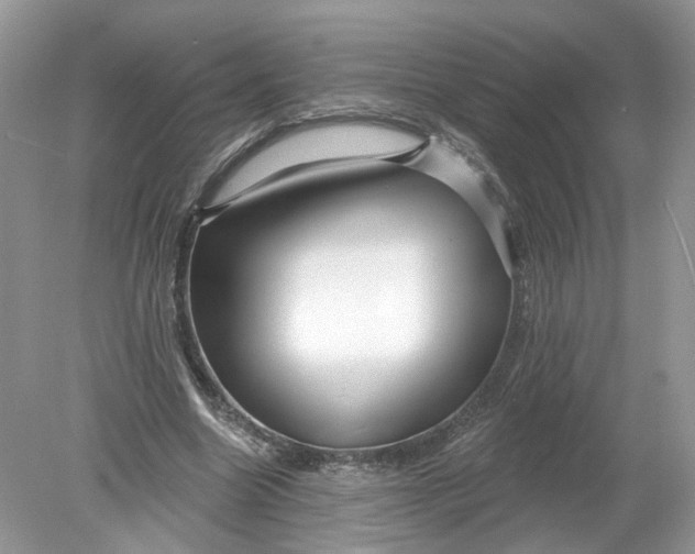 X0000078890538200612042052