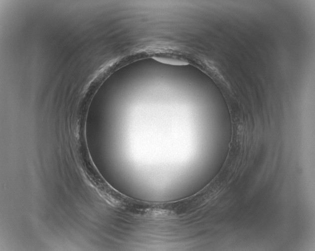 X0000078890539200612042053