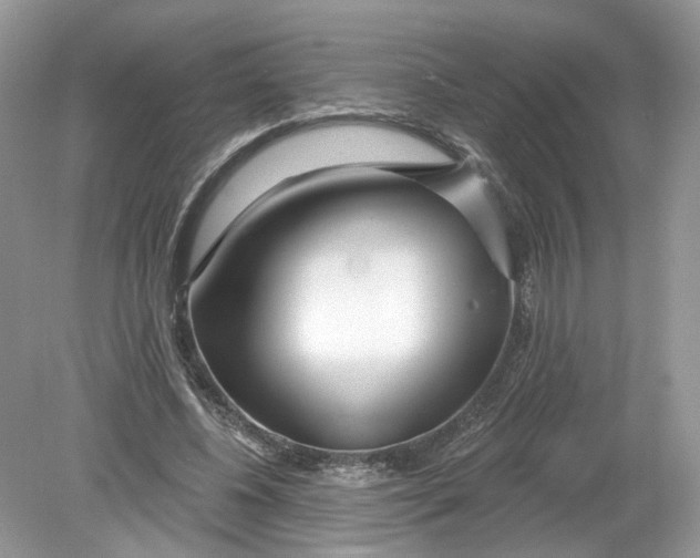 X0000078890540200612042053