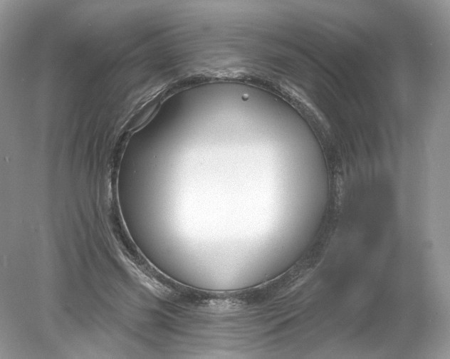 X0000078890541200612042053