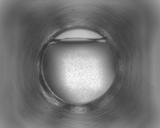 X0000078890542200612042053