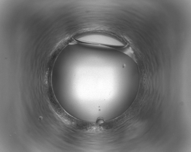 X0000078890543200612042053