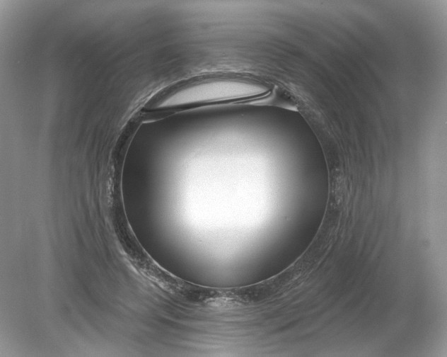 X0000078890544200612042053