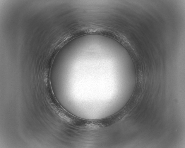 X0000078890545200612042053