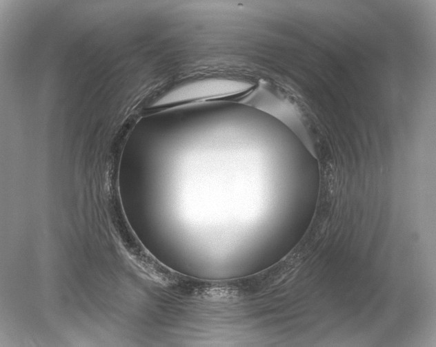 X0000078890546200612042053