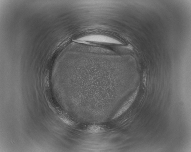 X0000078890547200612042053