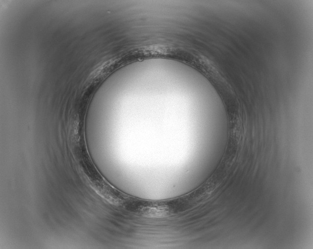 X0000078890548200612042053