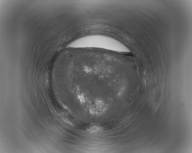 X0000078890551200612042053