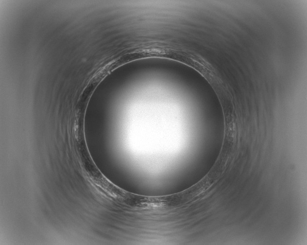 X0000078890552200612042053