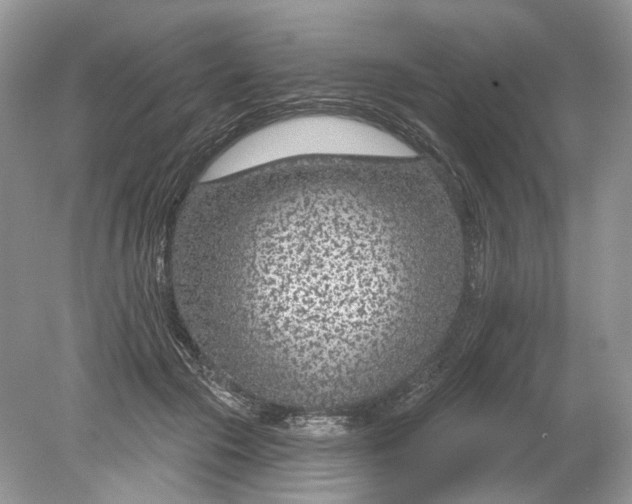 X0000078890553200612042053