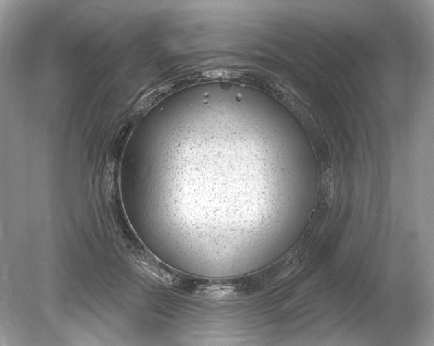 X0000078890554200612042053