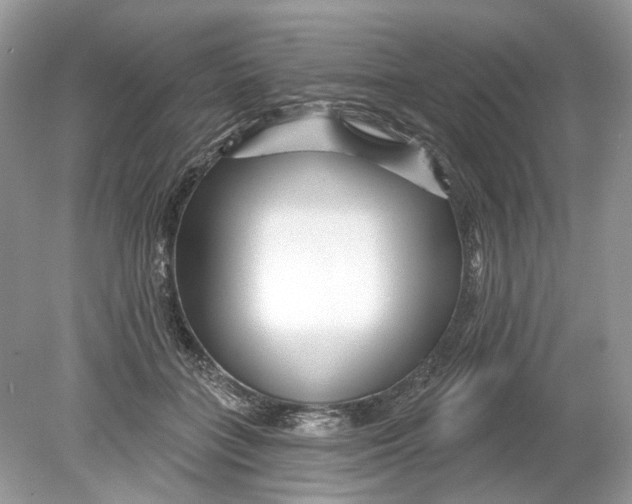 X0000078890555200612042053