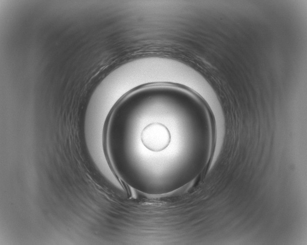 X0000078890556200612042053