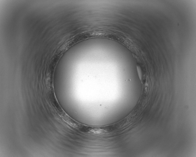 X0000078890557200612042053