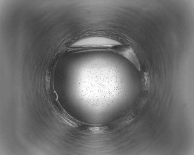 X0000078890558200612042053