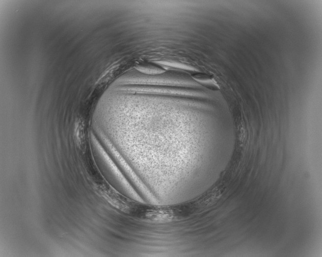 X0000078890559200612042053