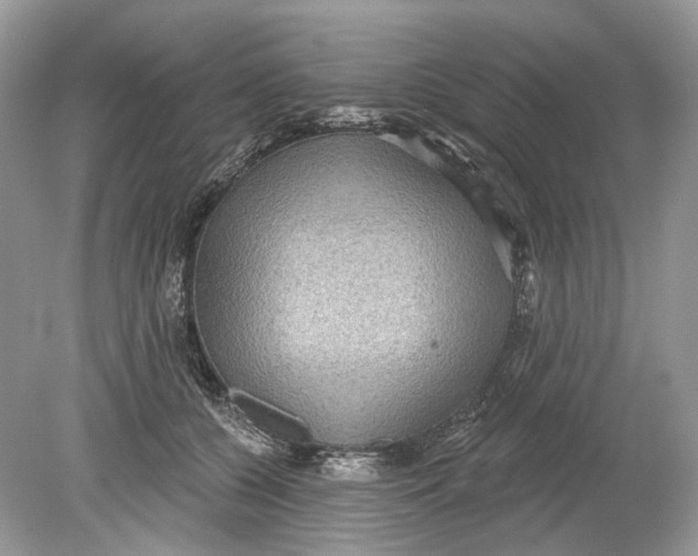 X0000078890560200612042053