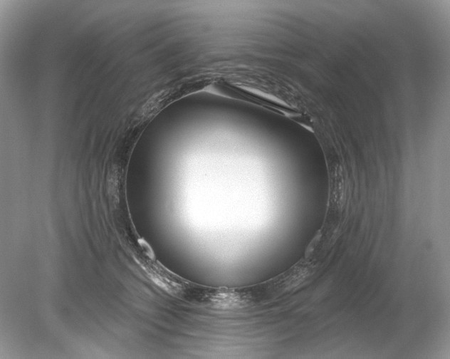 X0000078890562200612042053