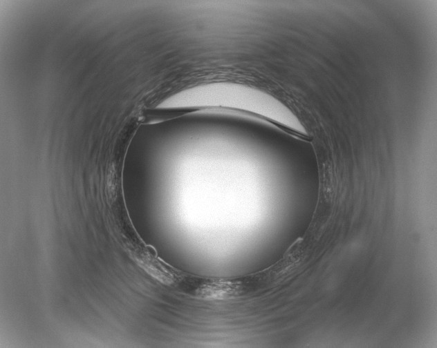 X0000078890563200612042053