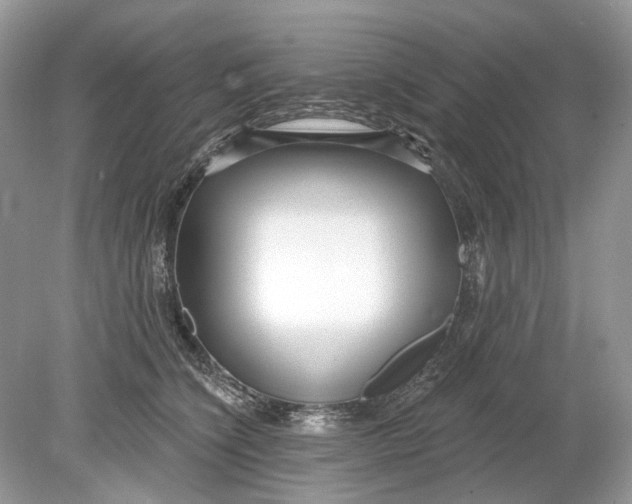 X0000078890564200612042053