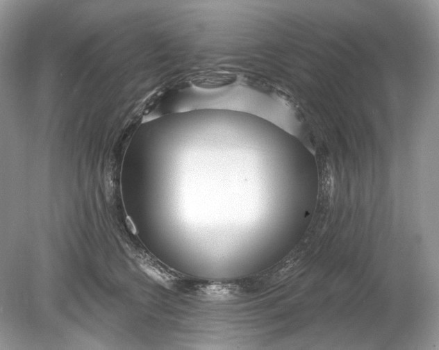 X0000078890566200612042053