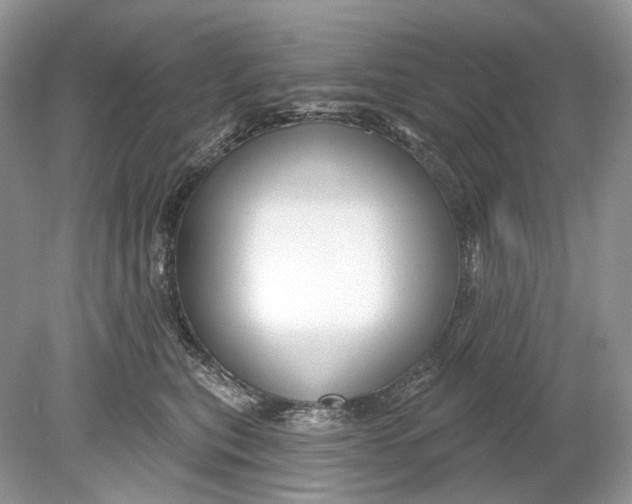 X0000078890567200612042053