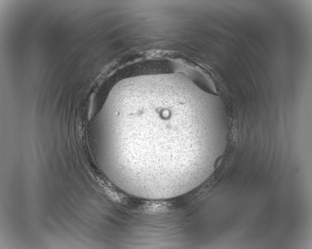 X0000078890569200612042053