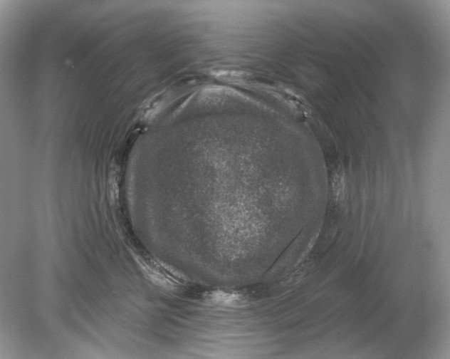 X0000078890570200612042053