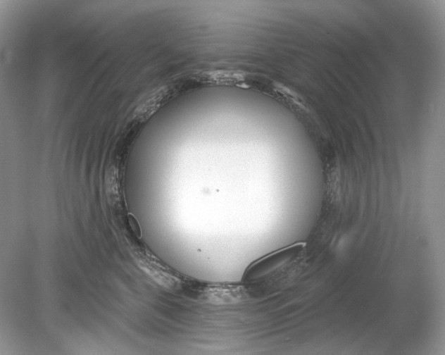 X0000078890571200612042053