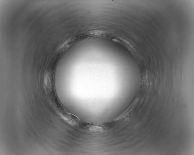 X0000078890572200612042053