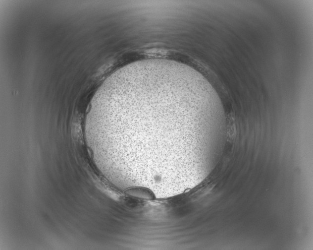 X0000078890573200612042053