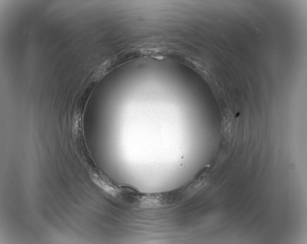 X0000078890574200612042053