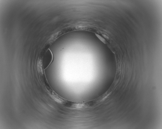 X0000078890575200612042053